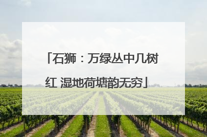 石狮：万绿丛中几树红 湿地荷塘韵无穷
