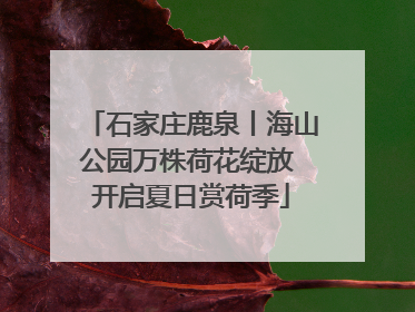 石家庄鹿泉丨海山公园万株荷花绽放 开启夏日赏荷季