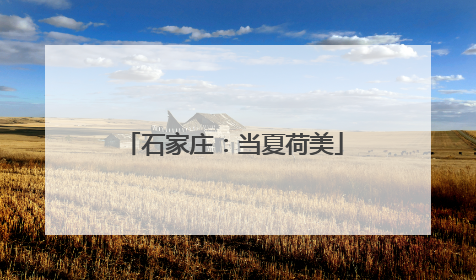 石家庄：当夏荷美