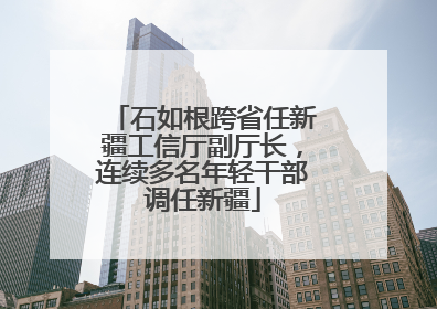 石如根跨省任新疆工信厅副厅长，连续多名年轻干部调任新疆