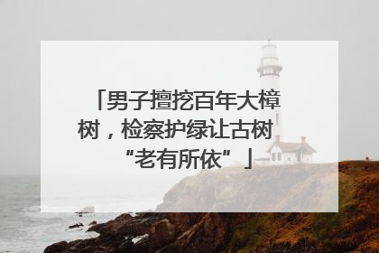 男子擅挖百年大樟树，检察护绿让古树“老有所依”