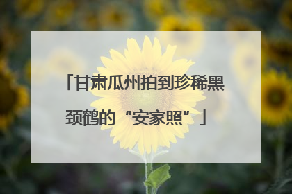 甘肃瓜州拍到珍稀黑颈鹤的“安家照”