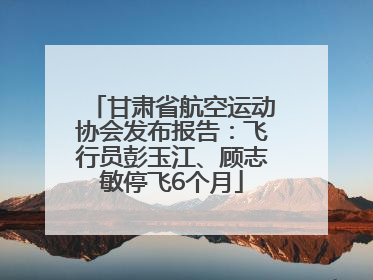 甘肃省航空运动协会发布报告：飞行员彭玉江、顾志敏停飞6个月