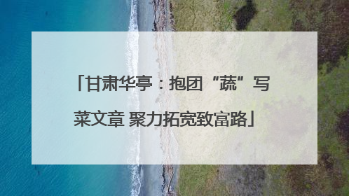 甘肃华亭：抱团“蔬”写菜文章 聚力拓宽致富路