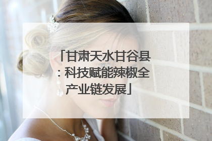 甘肃天水甘谷县：科技赋能辣椒全产业链发展