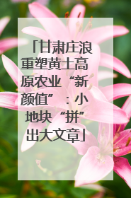 甘肃庄浪重塑黄土高原农业“新颜值”：小地块“拼”出大文章