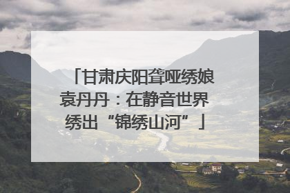 甘肃庆阳聋哑绣娘袁丹丹：在静音世界绣出“锦绣山河”