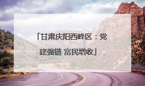 甘肃庆阳西峰区：党建强链 富民增收