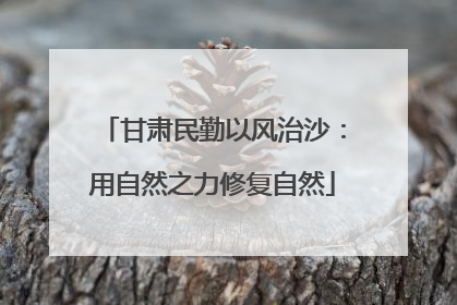 甘肃民勤以风治沙：用自然之力修复自然