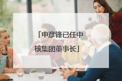申彦锋已任中核集团董事长