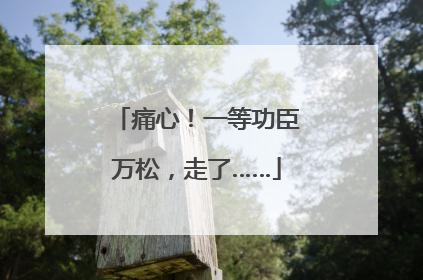 痛心！一等功臣万松，走了……
