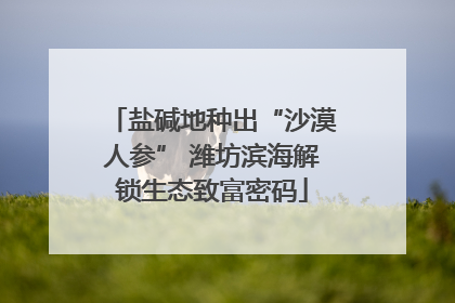 盐碱地种出“沙漠人参” 潍坊滨海解锁生态致富密码