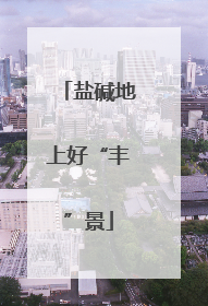 盐碱地上好“丰”景