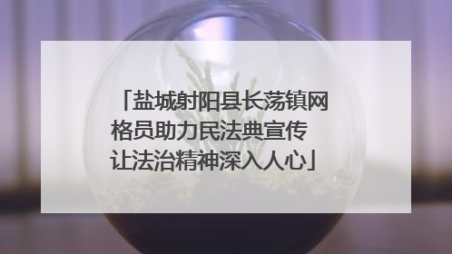 盐城射阳县长荡镇网格员助力民法典宣传 让法治精神深入人心