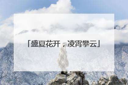 盛夏花开，凌霄攀云