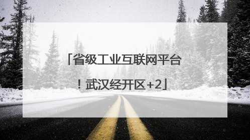 省级工业互联网平台！武汉经开区+2