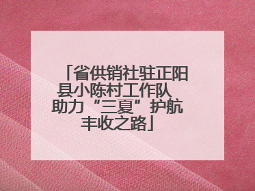 省供销社驻正阳县小陈村工作队 助力“三夏”护航丰收之路