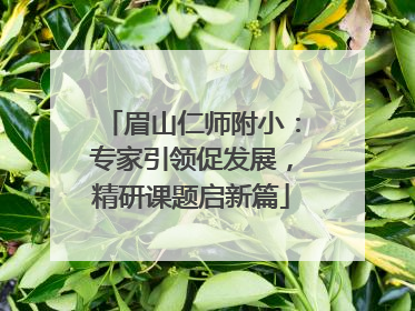 眉山仁师附小：专家引领促发展，精研课题启新篇