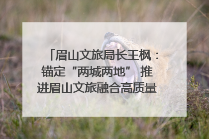 眉山文旅局长王枫：锚定“两城两地” 推进眉山文旅融合高质量发展｜文旅局长说