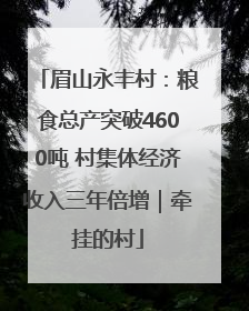 眉山永丰村：粮食总产突破4600吨 村集体经济收入三年倍增｜牵挂的村