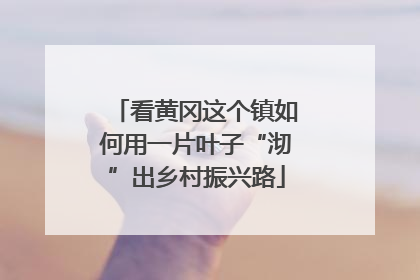 看黄冈这个镇如何用一片叶子“沏”出乡村振兴路