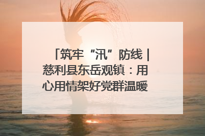 筑牢“汛”防线｜慈利县东岳观镇：用心用情架好党群温暖悠长的“连心桥”