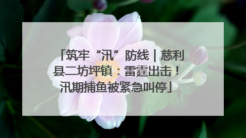 筑牢“汛”防线｜慈利县二坊坪镇：雷霆出击！汛期捕鱼被紧急叫停