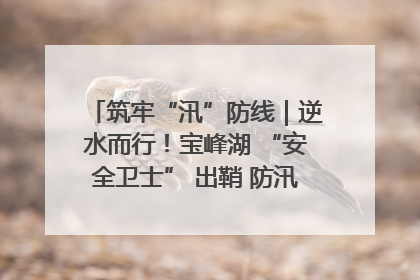 筑牢“汛”防线｜逆水而行！宝峰湖 “安全卫士” 出鞘 防汛应急再添硬核力量