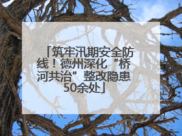筑牢汛期安全防线！德州深化“桥河共治”整改隐患50余处