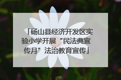砀山县经济开发区实验小学开展“民法典宣传月”法治教育宣传