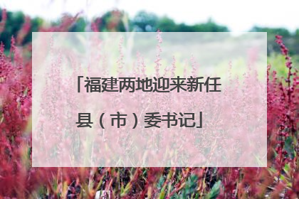 福建两地迎来新任县（市）委书记