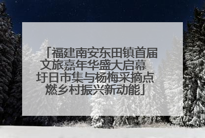 福建南安东田镇首届文旅嘉年华盛大启幕 圩日市集与杨梅采摘点燃乡村振兴新动能
