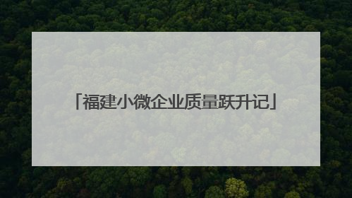 福建小微企业质量跃升记
