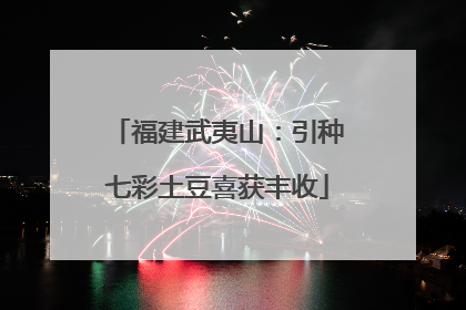 福建武夷山：引种七彩土豆喜获丰收