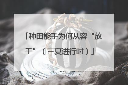 种田能手为何从容“放手”（三夏进行时）