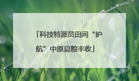 科技特派员田间“护航”中原夏粮丰收