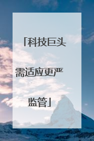 科技巨头需适应更严监管