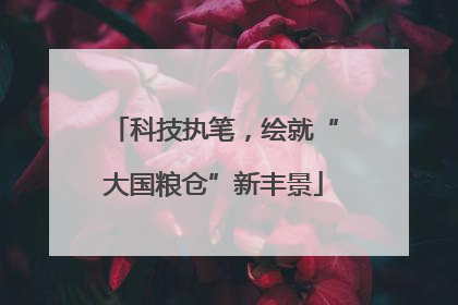 科技执笔，绘就“大国粮仓”新丰景