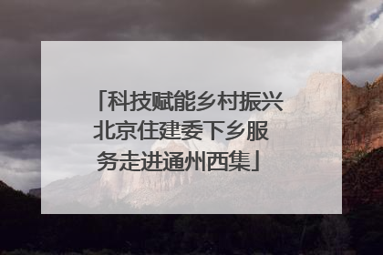 科技赋能乡村振兴 北京住建委下乡服务走进通州西集