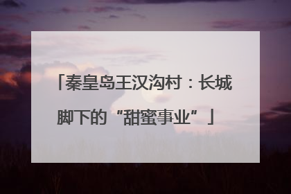 秦皇岛王汉沟村：长城脚下的“甜蜜事业”