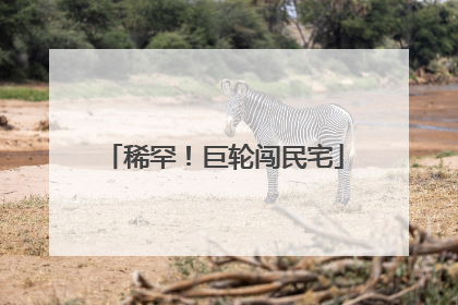稀罕！巨轮闯民宅
