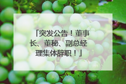 突发公告！董事长、董秘、副总经理集体辞职！