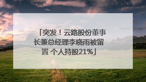 突发！云路股份董事长兼总经理李晓雨被留置 个人持股21%