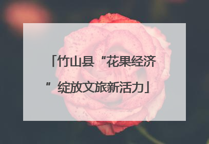 竹山县“花果经济”绽放文旅新活力