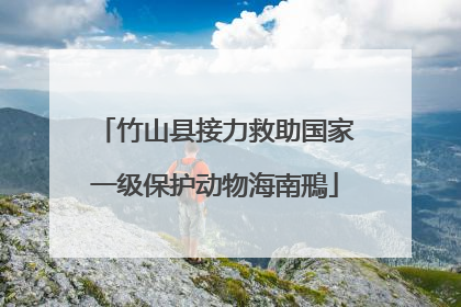 竹山县接力救助国家一级保护动物海南鳽