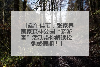 端午佳节，张家界国家森林公园“宠游客”活动带你解锁松弛感假期！