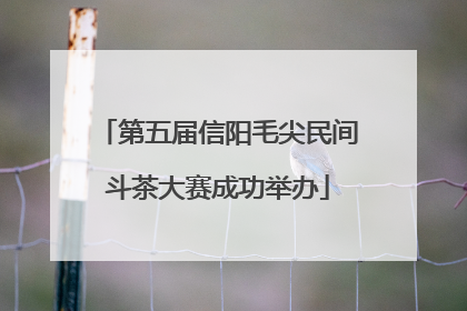 第五届信阳毛尖民间斗茶大赛成功举办