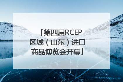 第四届RCEP区域（山东）进口商品博览会开幕