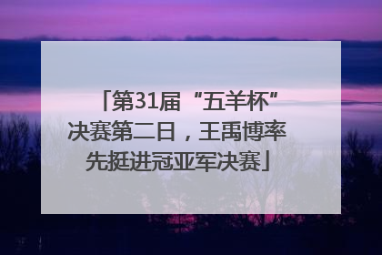 第31届“五羊杯”决赛第二日，王禹博率先挺进冠亚军决赛
