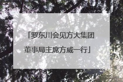 罗东川会见方大集团董事局主席方威一行